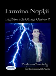 Amy Blankenship - Lumina Nopții (Legături De Sânge Cartea 2)