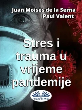 Paul Valent Stres I Trauma U Vrijeme Pandemije обложка книги