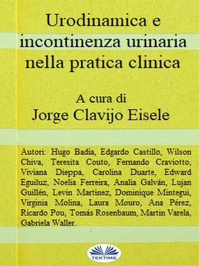 Jorge Clavijo Urodinamica E Incontinenza Urinaria Nella Pratica Clinica обложка книги