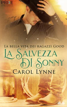 Carol Lynne La Salvezza Di Sonny обложка книги