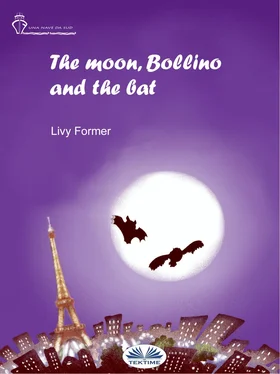 Livy Former The Moon, Bollino And The Bat обложка книги