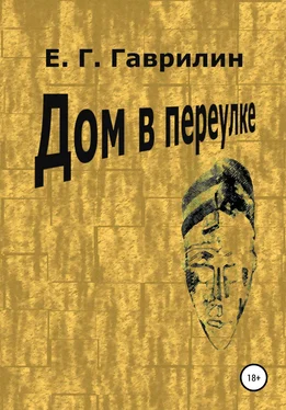 Евгений Гаврилин Дом в переулке обложка книги