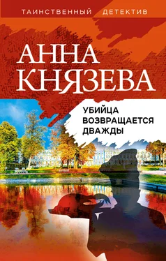 Анна Князева Убийца возвращается дважды обложка книги