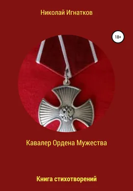 Николай Игнатков Кавалер Ордена Мужества обложка книги
