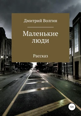 Дмитрий Волгин Маленькие люди обложка книги