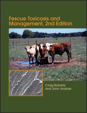 Craig A. Roberts Fescue Toxicosis and Management обложка книги