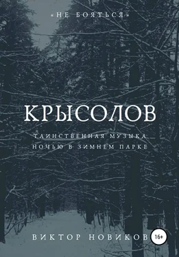 Виктор Новиков Крысолов обложка книги