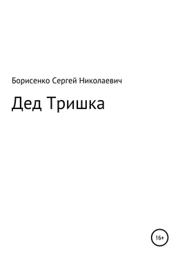 Сергей Борисенко Дед Тришка обложка книги