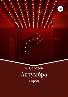 Д. Соловей Антумбра. Город обложка книги