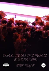 Агата Маценг - Дикие стихи для чтения в электричке