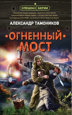 Александр Тамоников Огненный мост обложка книги