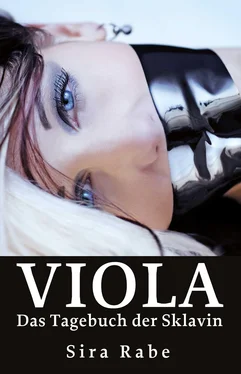 Sira Rabe Viola обложка книги