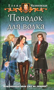 Елена Малиновская Поводок для волка обложка книги