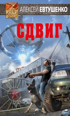 Алексей Евтушенко Сдвиг обложка книги