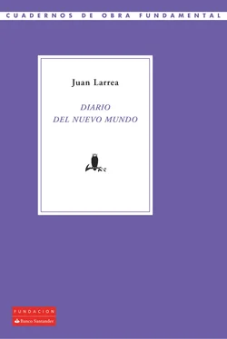 Juan Larrea Diario del Nuevo Mundo обложка книги