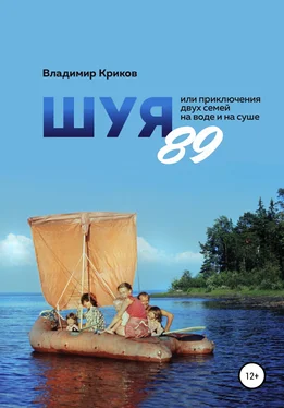 Владимир Криков Шуя 89, или Приключения двух семей на воде и на суше обложка книги