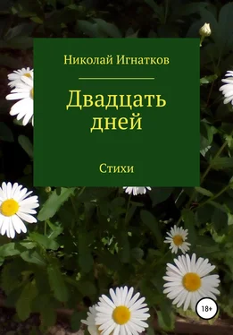 Николай Игнатков Двадцать дней обложка книги