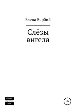 Елена Вербий Слезы ангела обложка книги