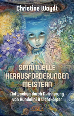 Christine Woydt SPIRITUELLE HERAUSFORDERUNGEN MEISTERN обложка книги