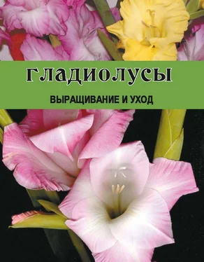 Дарья Резько Гладиолусы. Выращивание и уход обложка книги