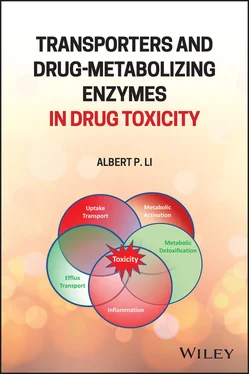 Albert P. Li Transporters and Drug-Metabolizing Enzymes in Drug Toxicity обложка книги