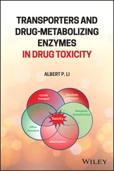 Albert P. Li - Transporters and Drug-Metabolizing Enzymes in Drug Toxicity