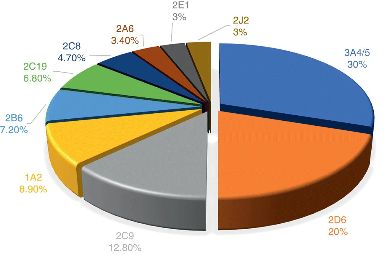 Figure 22 The most frequent human P450 enzymes involved in metabolism of - фото 5