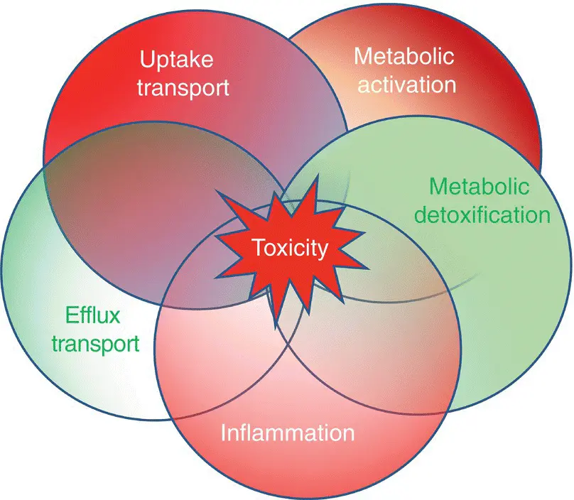 Figure 11 Schematic illustration of the Multiple Determinant Hypothesis of - фото 2