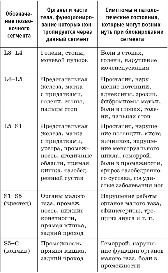 Рис 8 Схема контроля головного мозга органов и систем через сегменты спинного - фото 12