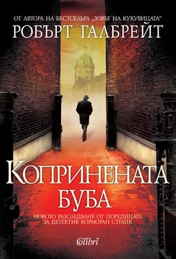 Робърт Галбрейт Копринената буба обложка книги