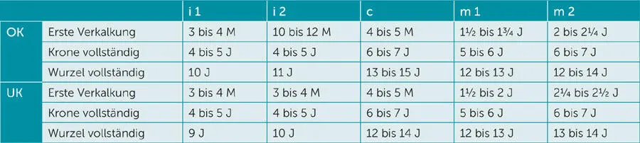 Tabelle 32 Ablauf der Entwicklung bleibender Zähne nach Schour und Massler 30 - фото 66