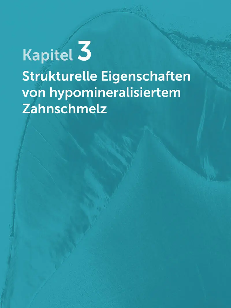 Um die Pathogenese der MIH besser verstehen zu können ist es unabdingbar die - фото 65