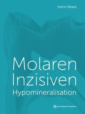 Katrin Bekes Molaren-Inzisiven-Hypomineralisation обложка книги