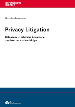 Sebastian Laoutoumai Privacy Litigation обложка книги