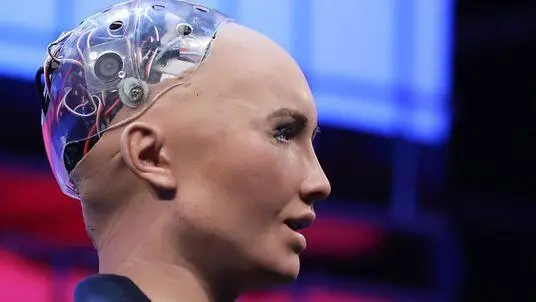 Geradezu alltäglich ist heute bereits der Rasenmäherbot oder sein - фото 10