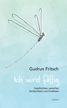Gudrun Fritsch Ich wird fällig обложка книги