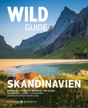 Ben Love Wild Guide Skandinavien обложка книги