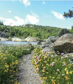 Malerische Insel die sich wunderbar mit einem geliehenen Kajak erkunden lässt - фото 31