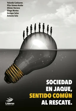 Enrique Salas Sociedad en Jaque, sentido común al rescate обложка книги