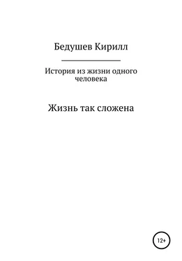 Кирилл Бедушев История из жизни одного человека обложка книги