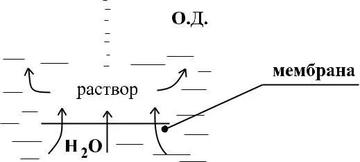 Давление равное атмосферному представляет собой осмотическое давление ОД - фото 99
