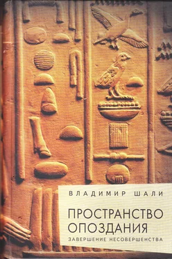 Владимир Шали Пространство опоздания обложка книги