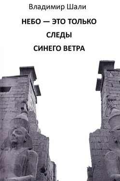 Владимир Шали Небо – это только следы синего ветра обложка книги