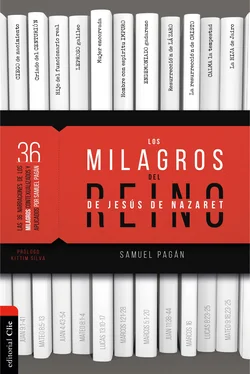 Samuel Pagán Los milagros del reino de Jesús de Nazaret обложка книги