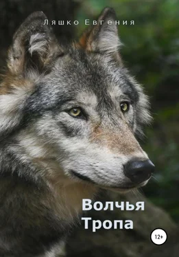 Евгения Ляшко Волчья тропа обложка книги