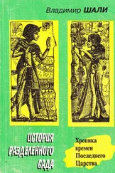 Владимир Шали - История разделенного сада