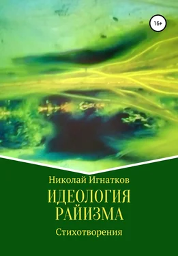 Николай Игнатков Идеология райизма обложка книги