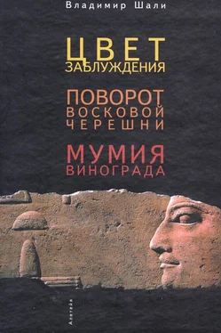 Владимир Шали Цвет заблуждения. Поворот Восковой Черешни. Мумия винограда обложка книги