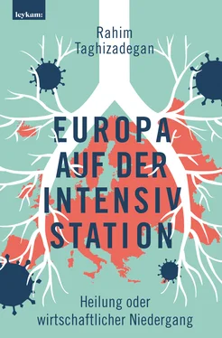 Rahim Taghizadegan Europa auf der Intensivstation обложка книги
