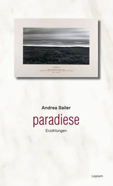 Andrea Sailer Paradiese обложка книги